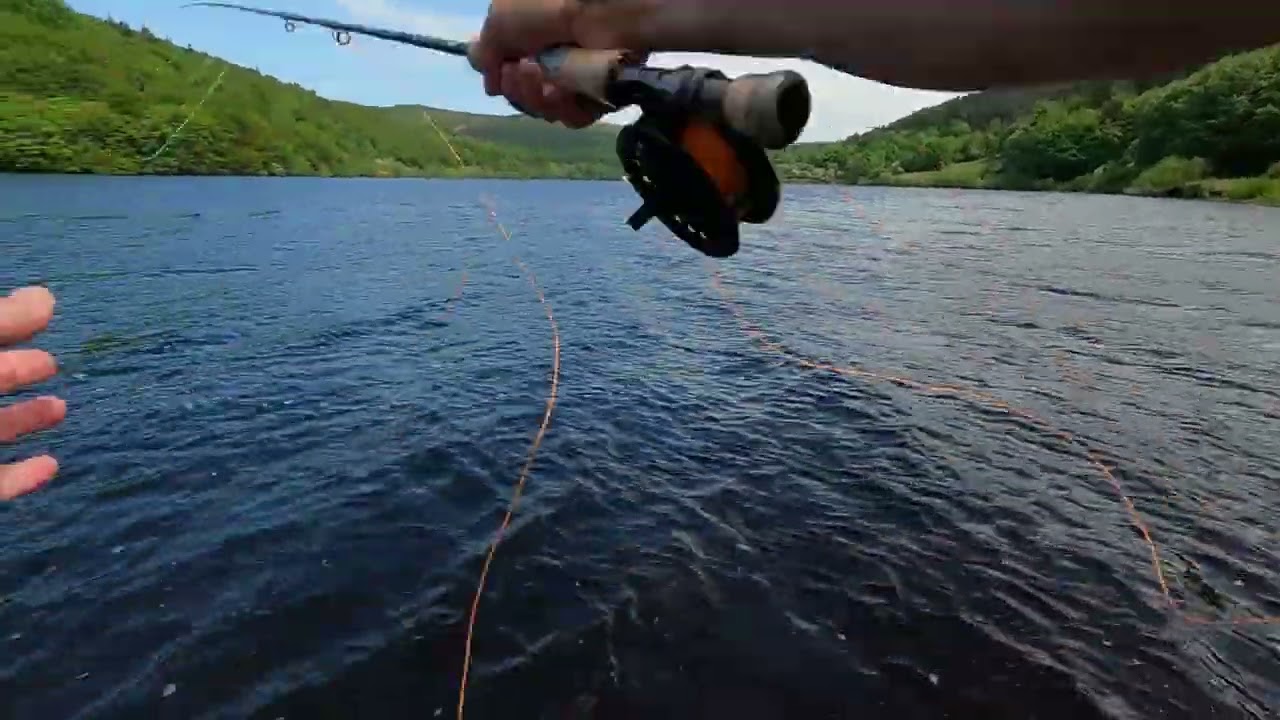 Above Average Angler; Ladybower fly fishing for Rainbows. Derbyshire