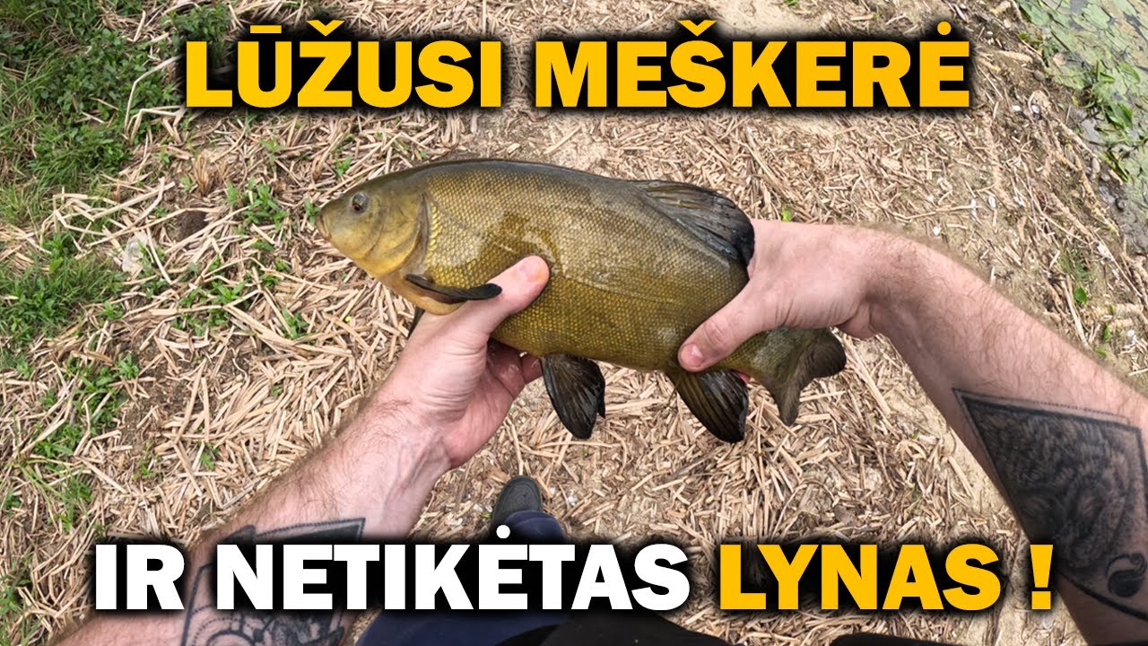Easterno pirma ŽVEJYBA su METHOD &ndash; Me&scaron;kerė LŪŽO, bet Lynas pagautas!