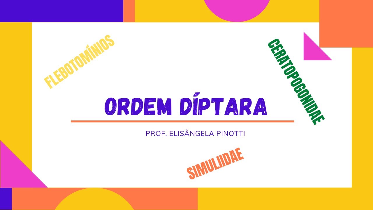 ORDEM DÍPTERA