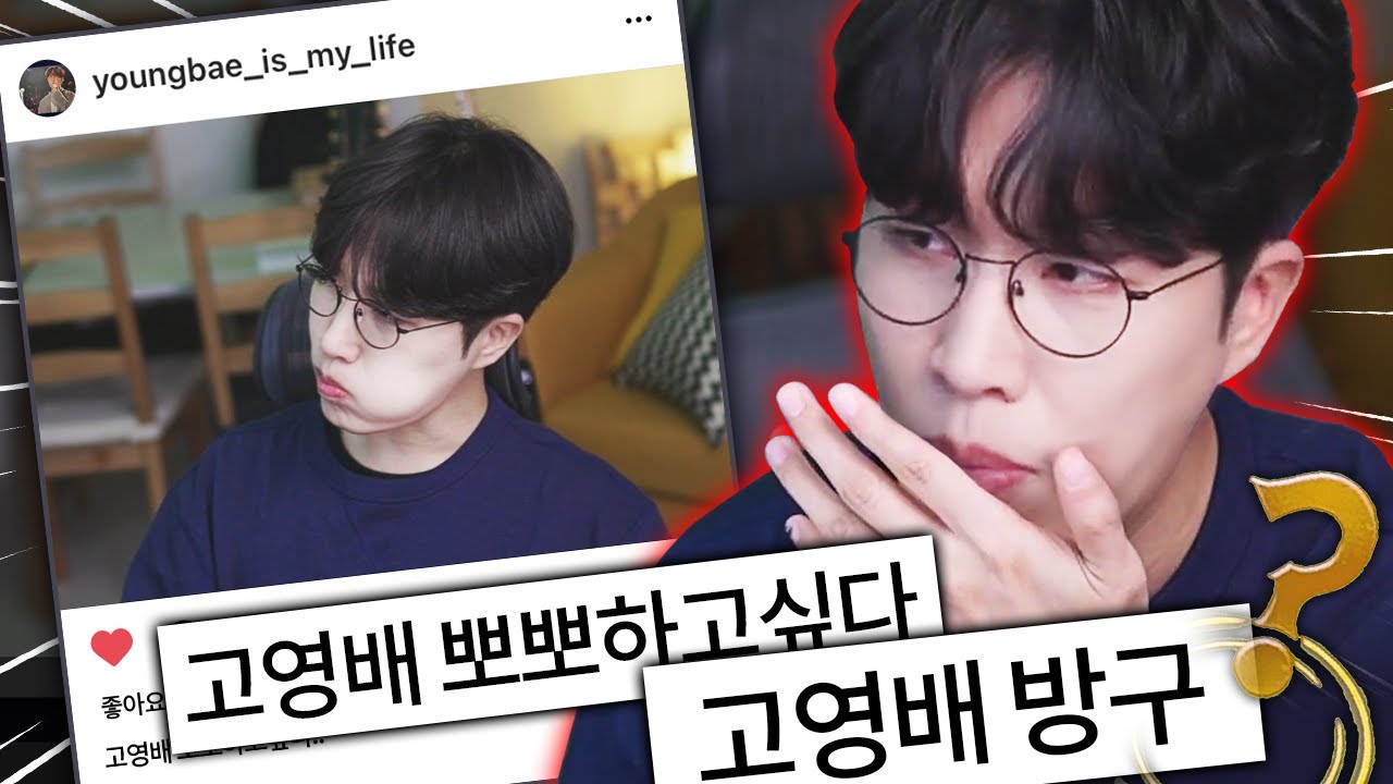 이게..팬계정?? 팬계정에 대한 입장 밝힙니다