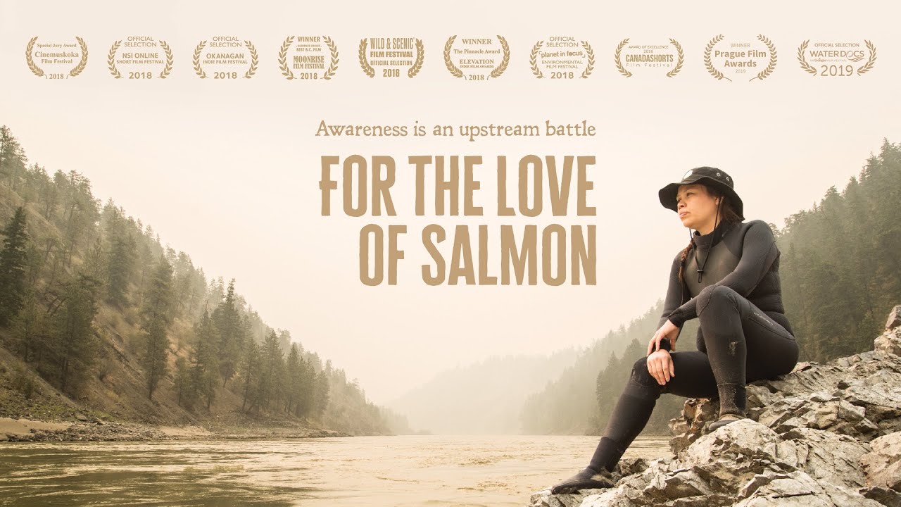 For The Love of Salmon -  documentary film
