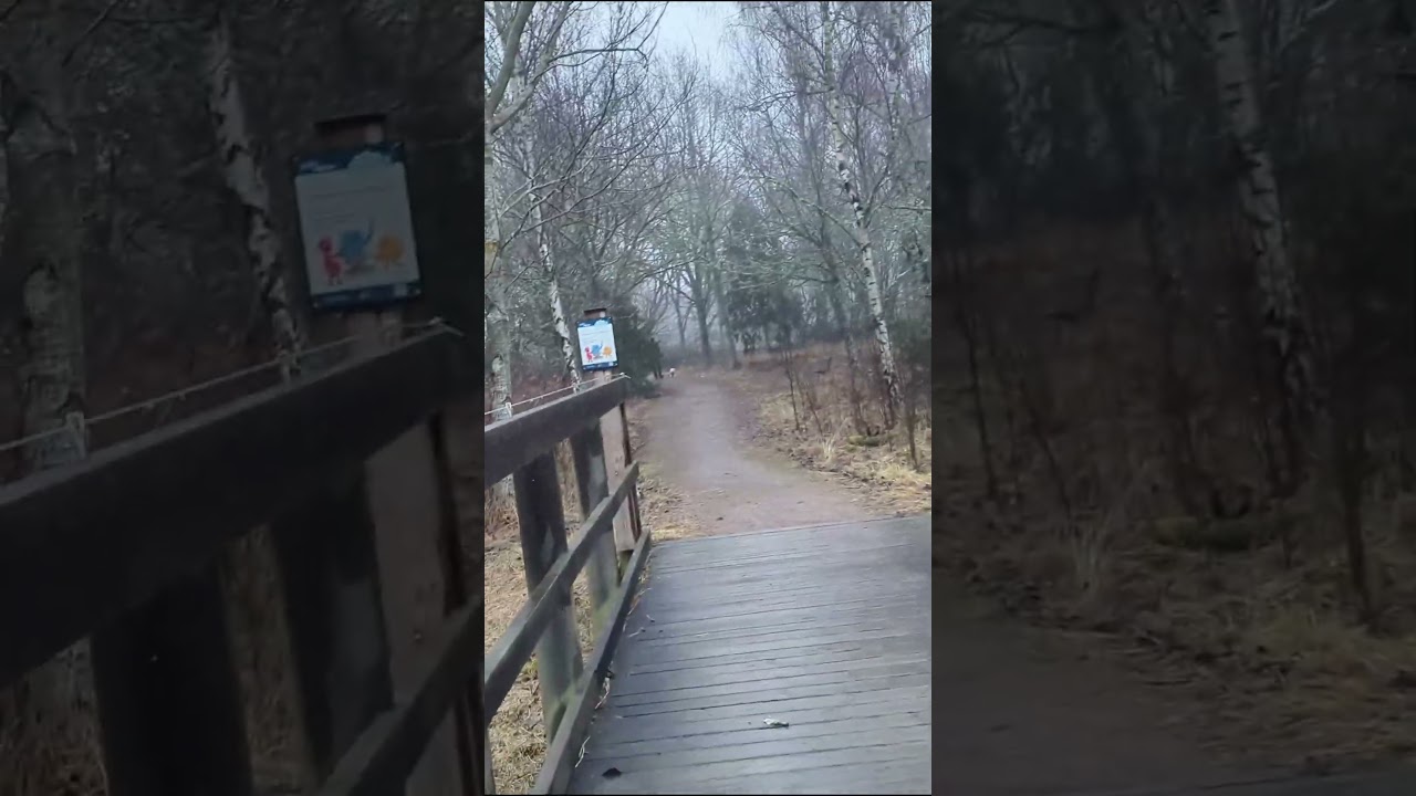 Just crossing a bridge