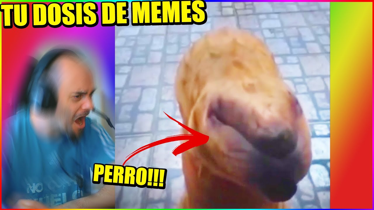 ESO ES UN PERRO - SI TE RÍES... MEME PERD0NAS