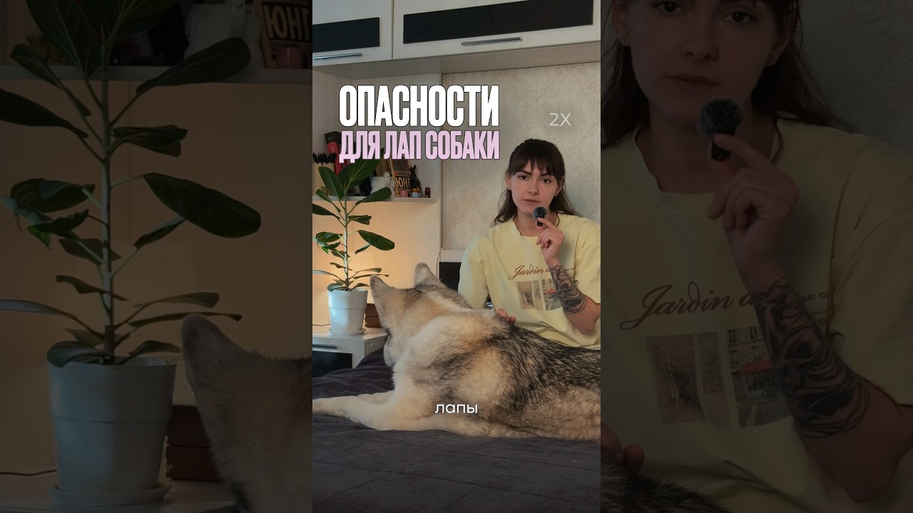 #WW304696 копируй с буквами, без # и вставляй на ВБ