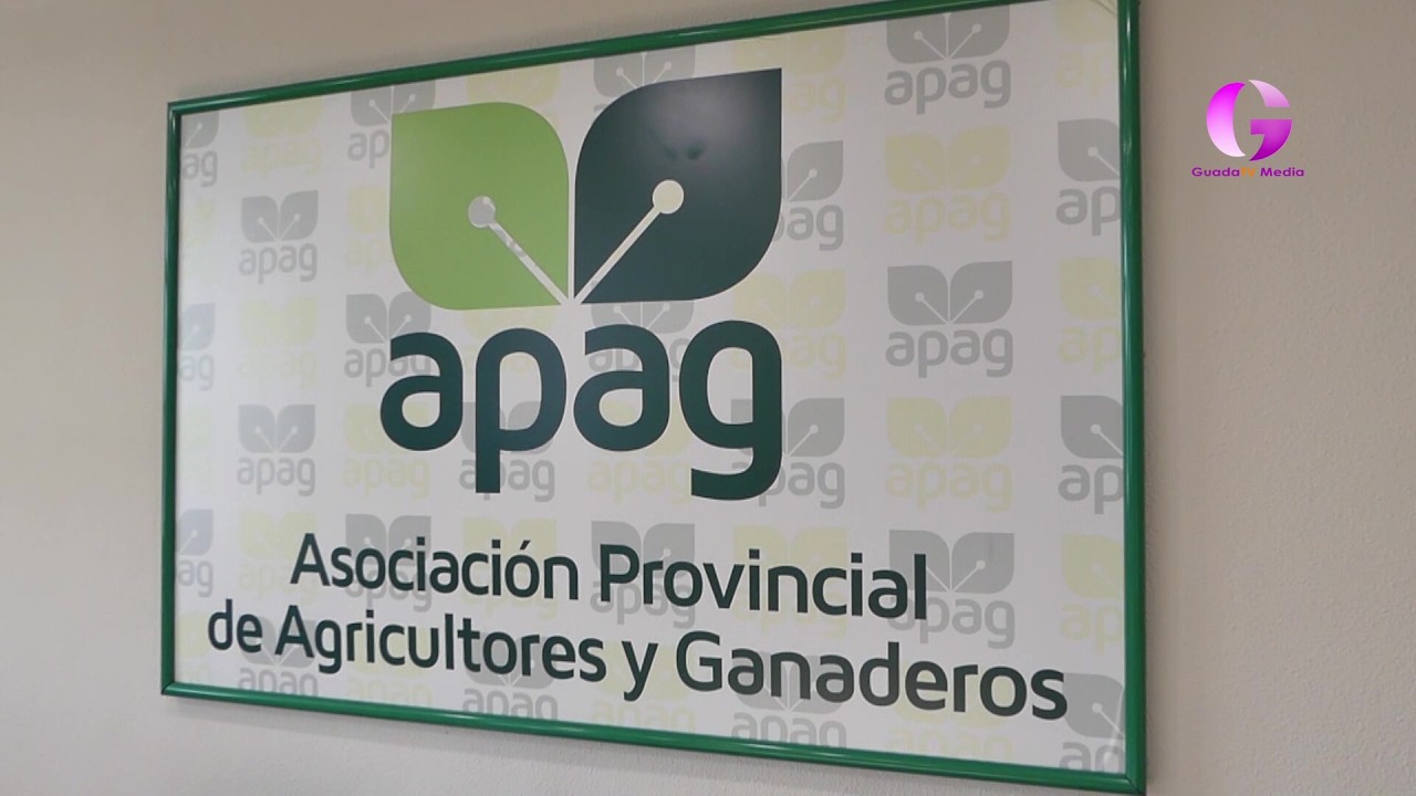 GuadaTVMedia comienza una nueva sección con APAG
