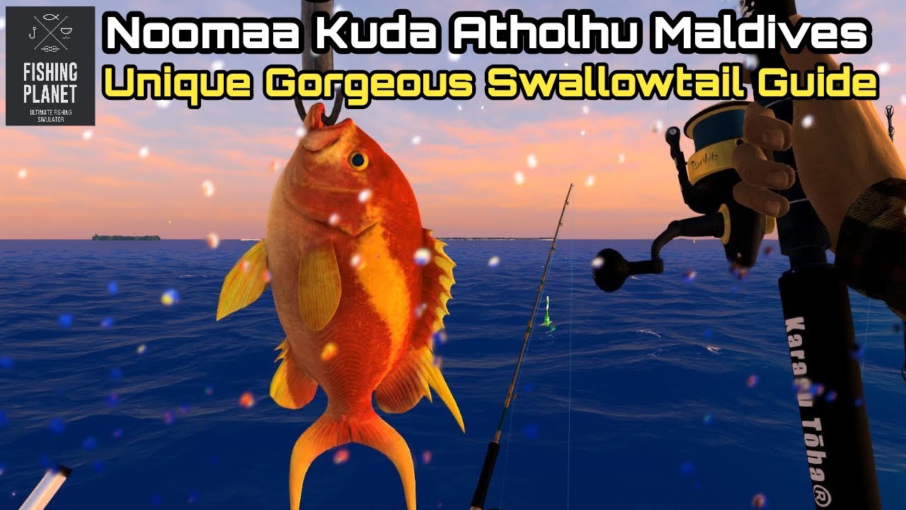 Fishing Planet Noomaa Kuda Atholhu Maldives, Unique Gorgeous Swallowtail Guide
