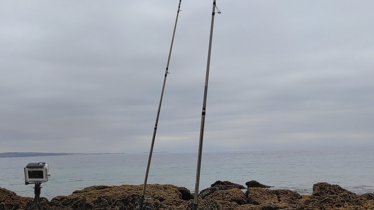 Tutorial de cómo pescar más a surf casting (parte 1)✍️😉
