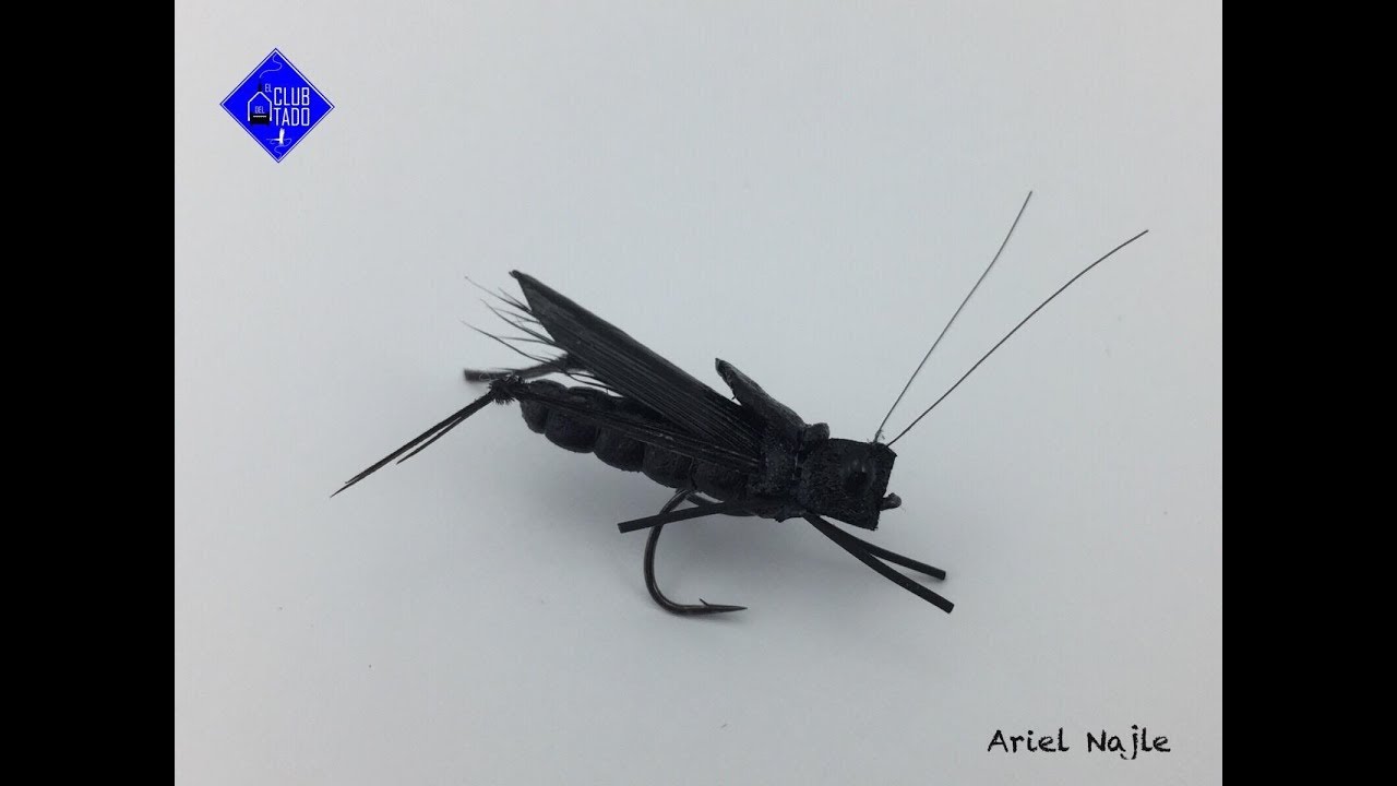 Atado de moscas para dorados, pira pita, truchas.(Fly tying) #43 (black cricket) El club del atado.