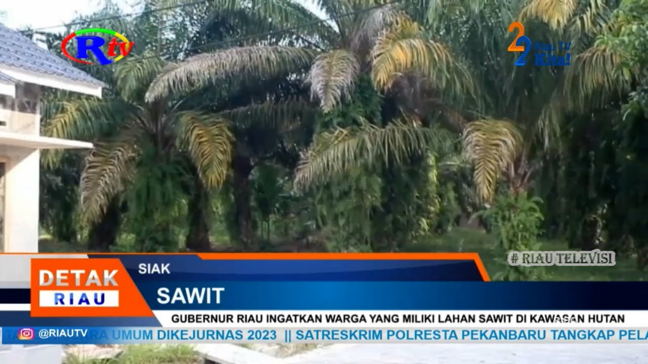 GUBERNUR RIAU INGATKAN WARGA YANG MILIKI LAHAN SAWIT DI KAWASAN HUTAN
