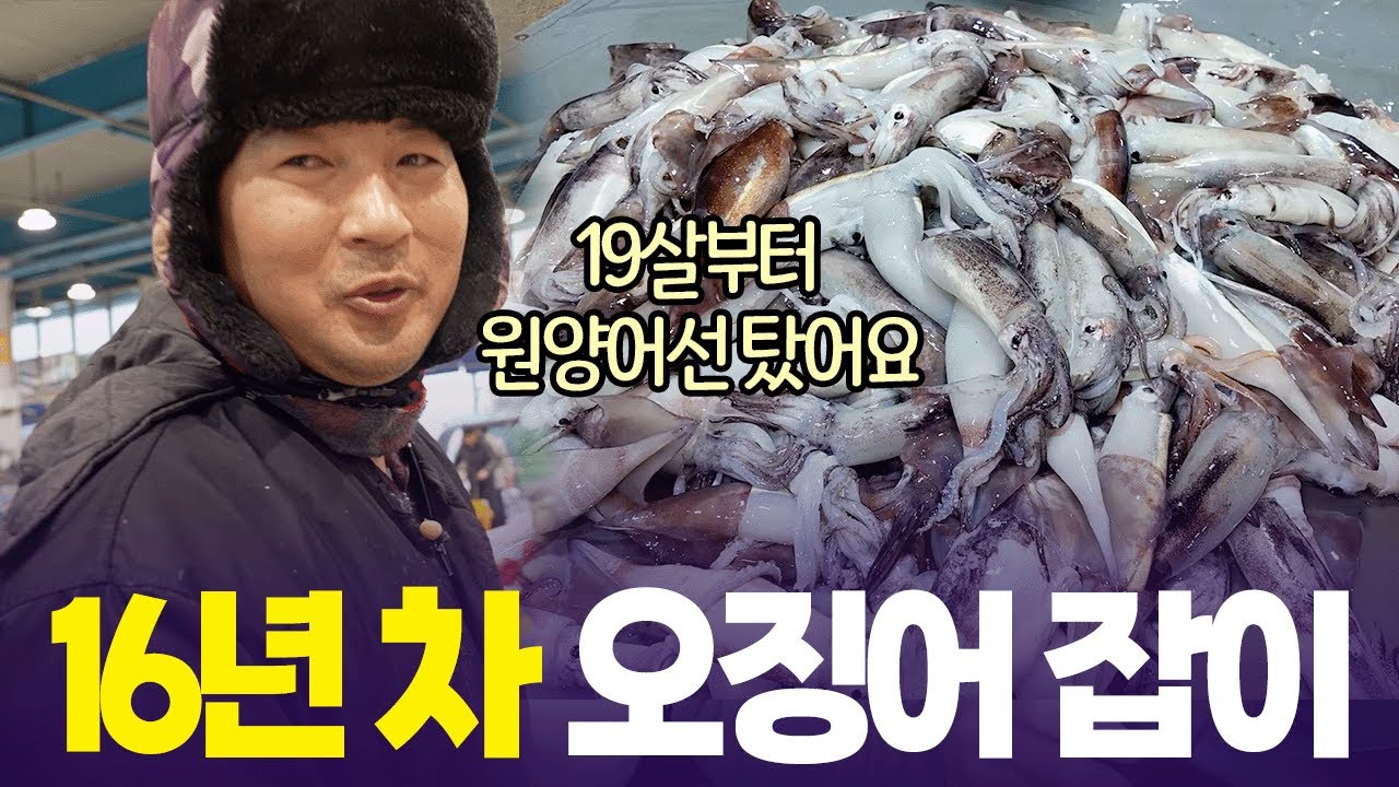 저처럼 실패하지 마세요 🦑 귀어 꿀팁 다 가르쳐드립니다 [6시 내고향] | KBS 260119 방송