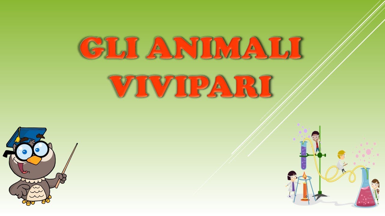 Gli animali Vivipari