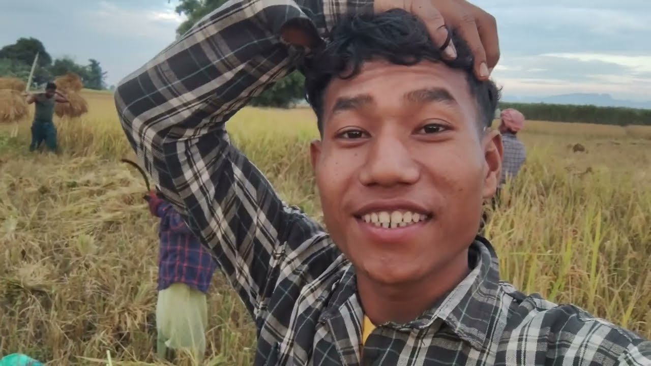 Aj mei dhan katne Aya hu dosto// Assam cultivasion vlog 