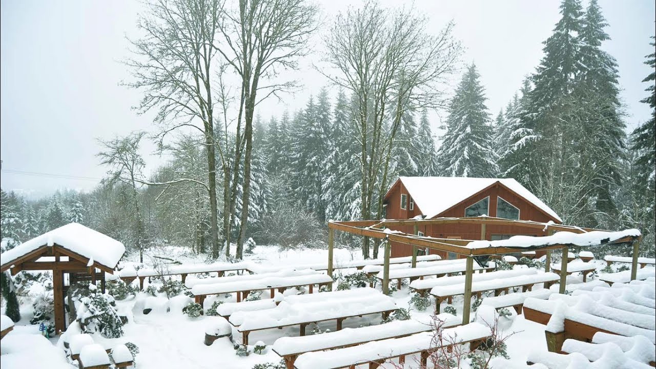 Winter Care