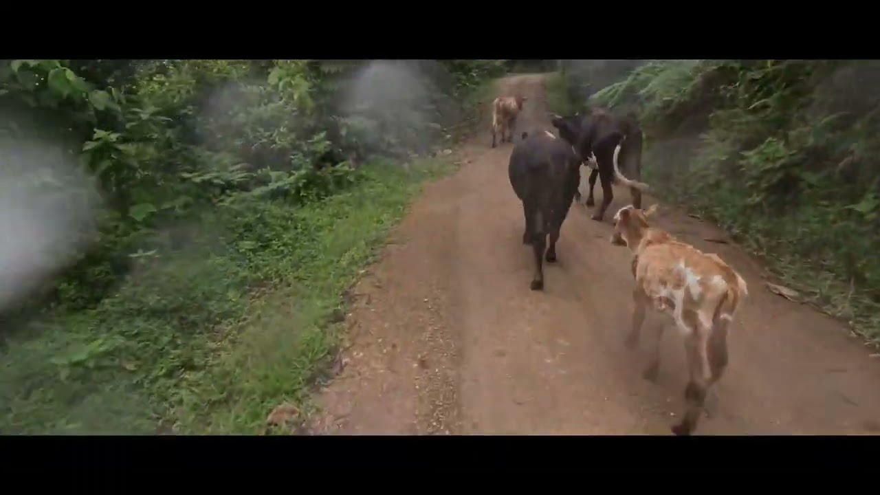 The OFFROAD Ecuador ADVenture Riding Sampler