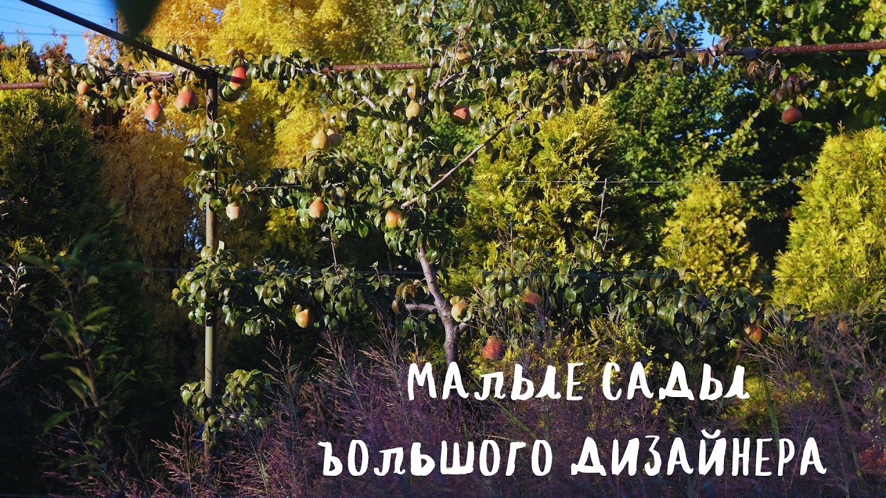 малые сады большого дизайнера