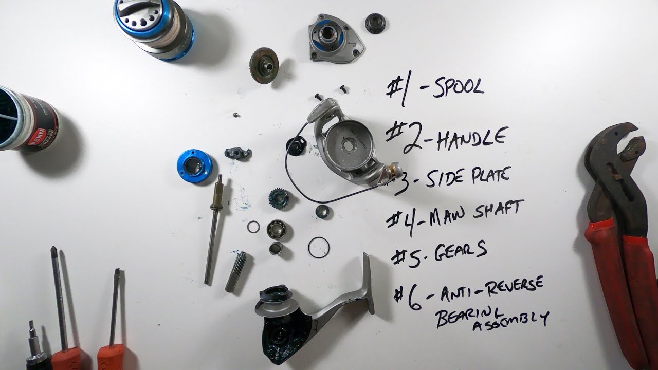 Saltwater Spinning Reel General Maintenance - Cabo PTSE 4000