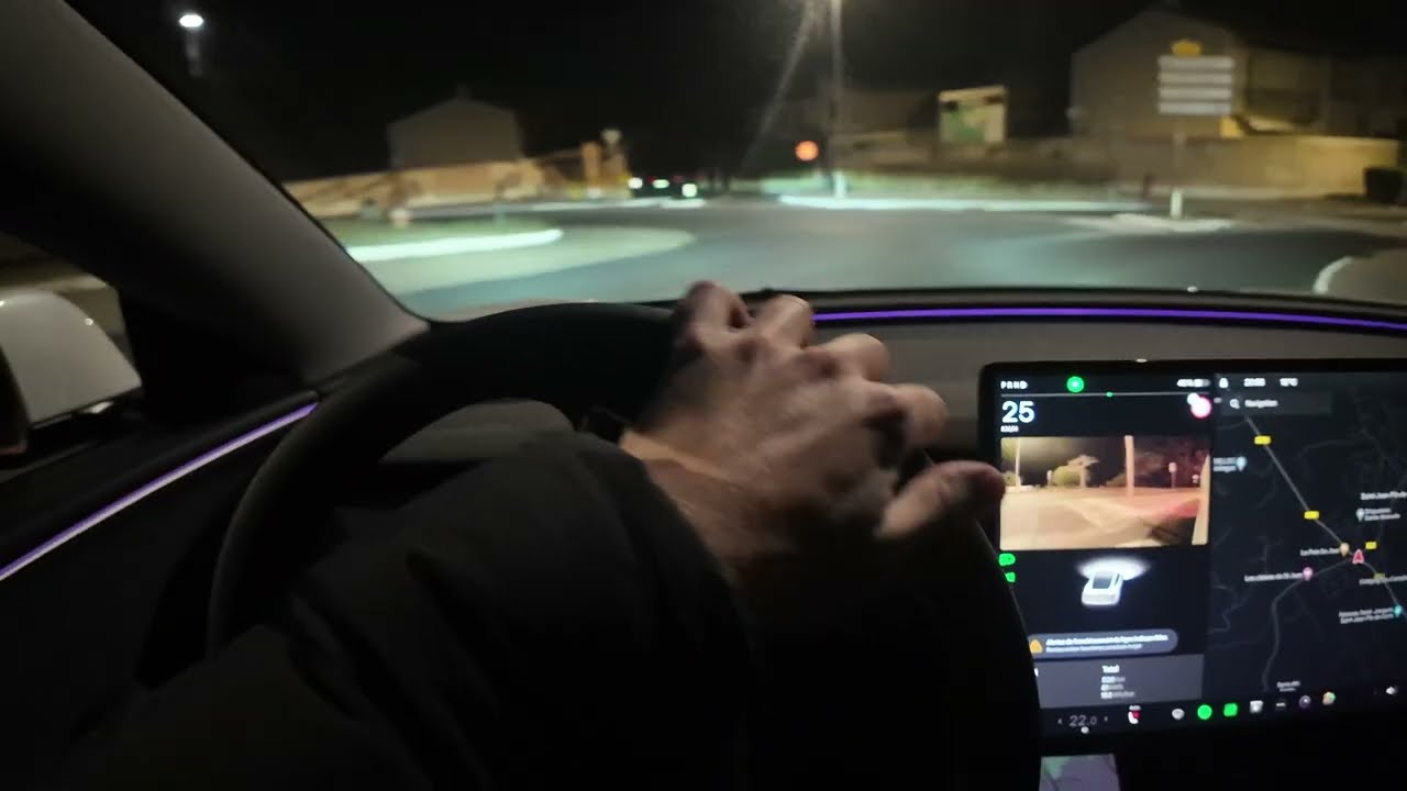 Tesla Model 3 Highland Night Lights