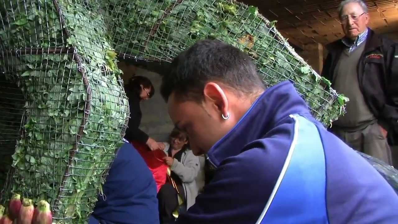 Ladispoli (RM) - Sagra del Carciofo Romanesco - Le Sculture di Carciofi