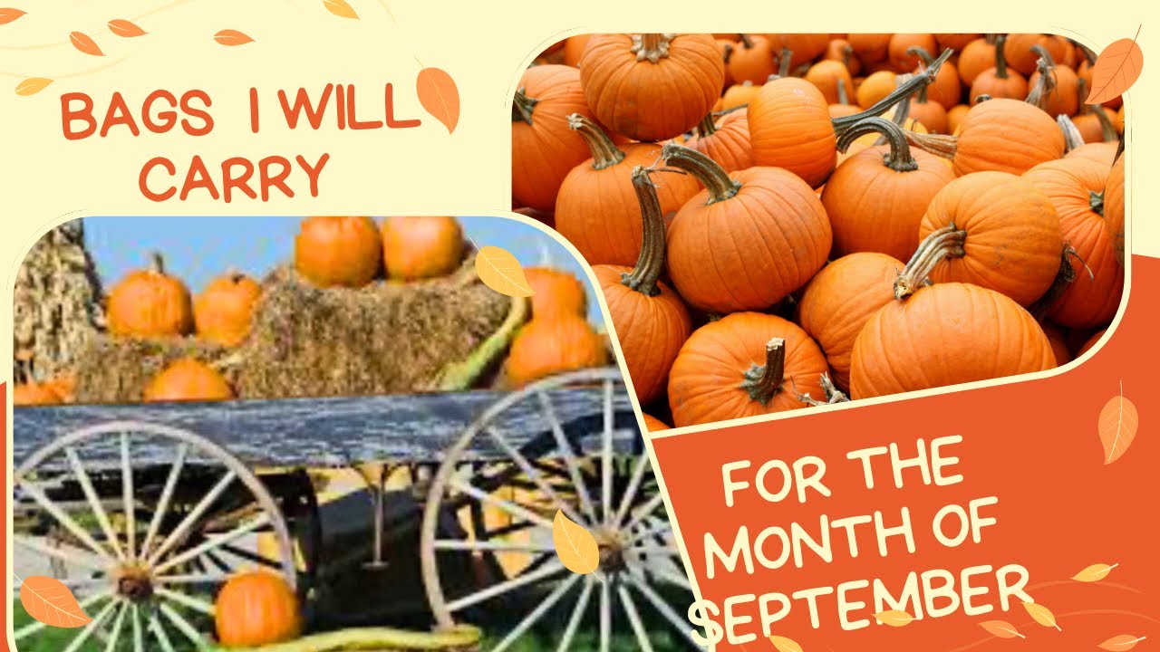 BAGS I PLAN TO CARRY THIS MONTH👀👀👀 I AM FALL READY 🧡🤎💚COACH/DOONEY/ COLE HANN