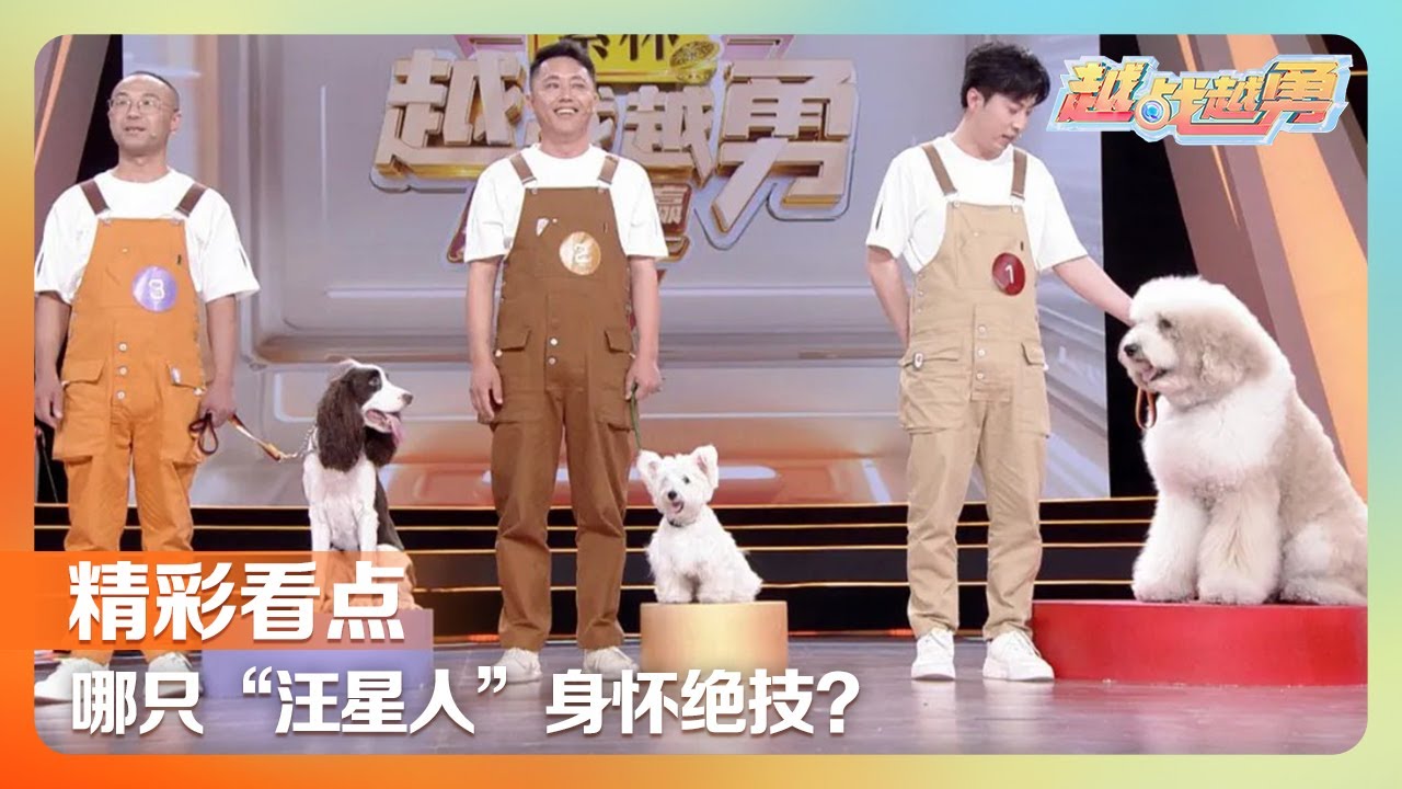 究竟是谁给蚂蚁雕了三双鞋？谁家狗狗会骑自行车？谁的花式足球技艺打破了吉尼斯世界纪录？| 第艺流「越战越勇」20250716 真的会赢
