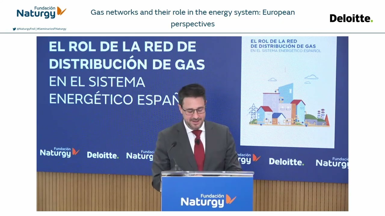 Gas distribution networks and their role in the energy system: Spanish and European perspectives