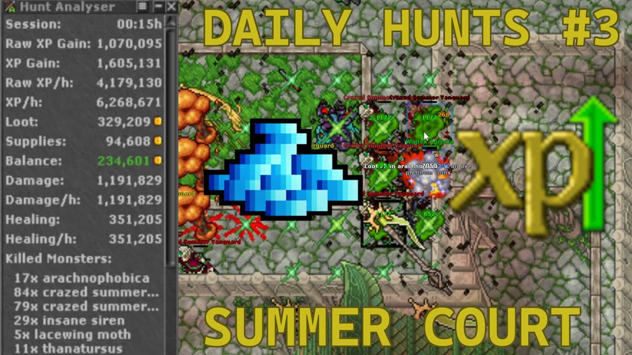 Tibia | Monk 428 | Summer Court | Daily Hunt #3