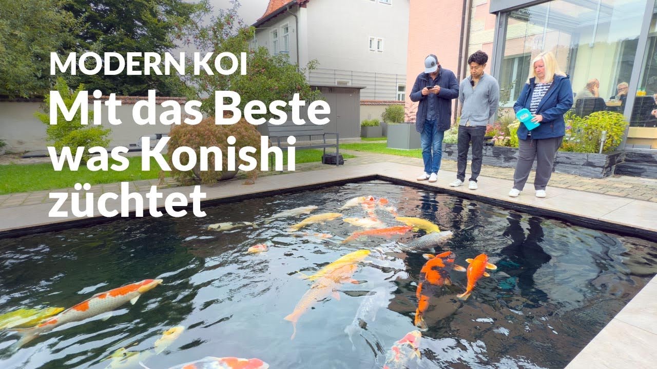 Mit Makoto und Yvo an Christines Genesis Teich | Modern Koi Blog #7633