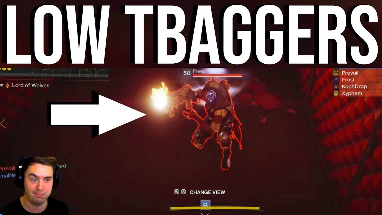 Dominating Lord of Wolves T-Baggers In Destiny 2 Comp