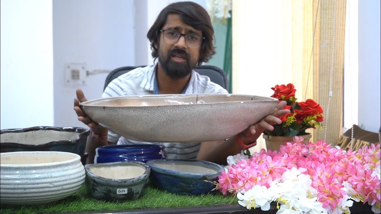 Ceramic pots for bonsai plant ☘️ #ceramic pots #bonsai #pot/ Plant N Pots / Delhi