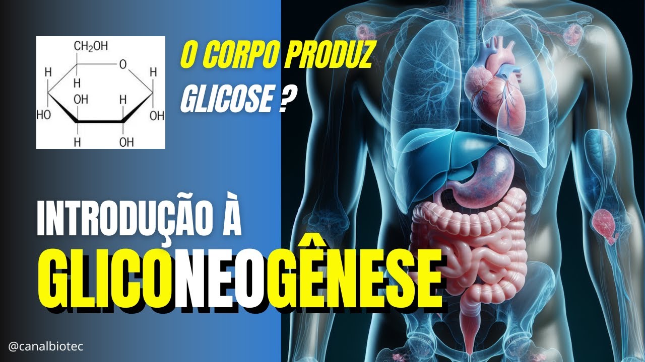 O que nosso corpo usa para produzir Glicose | GLICONEOGÊNESE