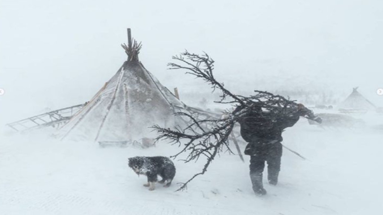 【−45℃猛吹雪】森の中で愛犬と二人きり…極寒ホットテント冬キャンプ。命の危険を感じた夜。