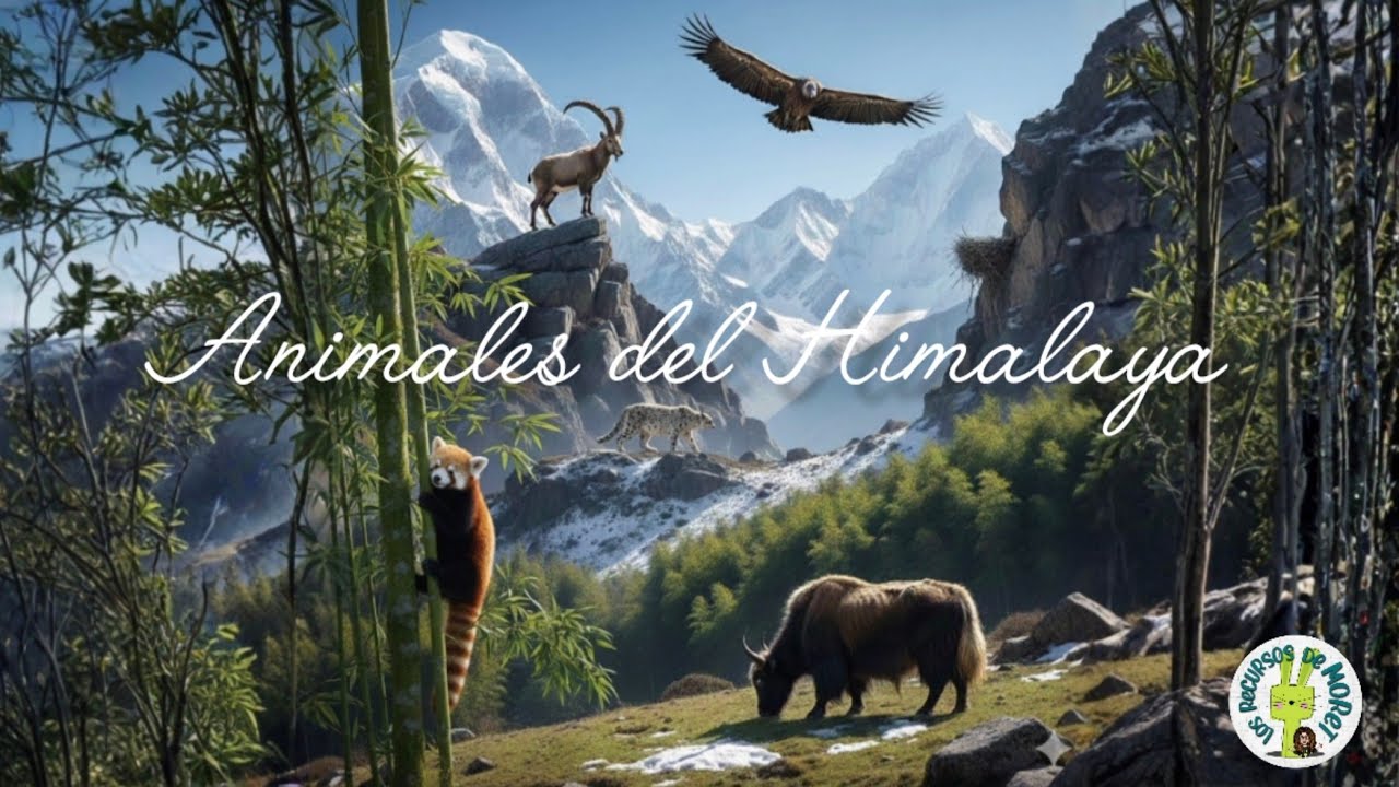 Animales del Himalaya.