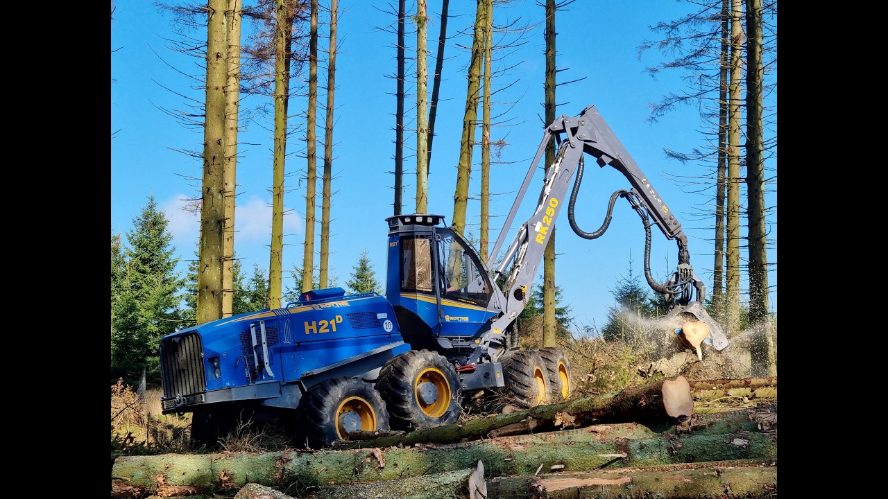 🌲*THE biggest Swede* • Rottne H21-D 8WD • LoggingVideo • Biggest Harvester • Harvesteraction🌲
