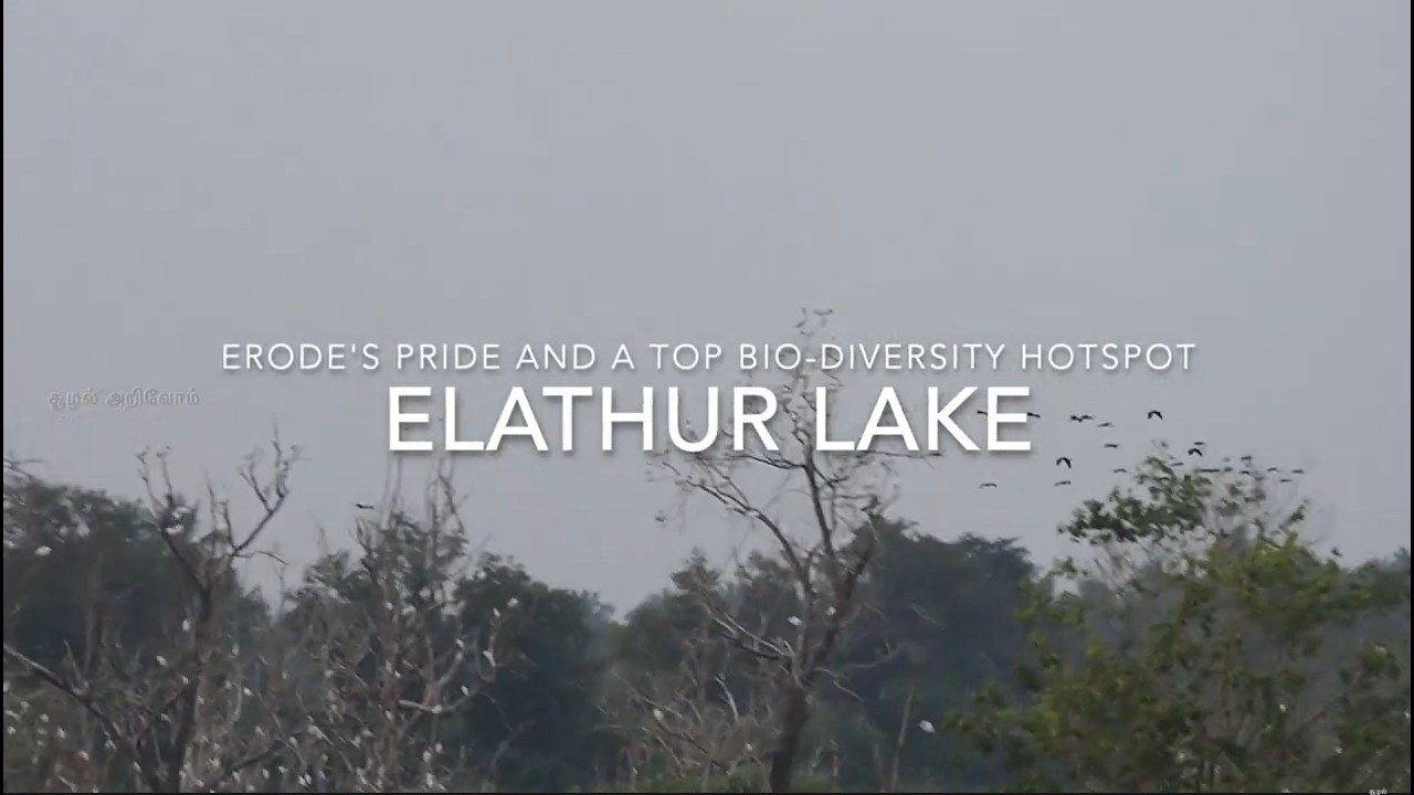 Elathur Lake - Erode's Pride and a top Bio diversity hotspot - Deepak Venkatachalam - Suzhal Arivom