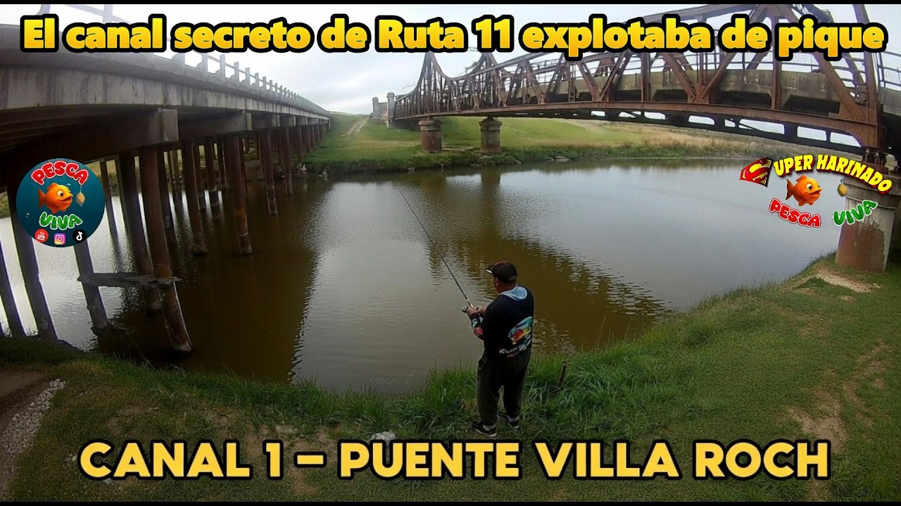 La pesca que nadie te muestra puente villa roch