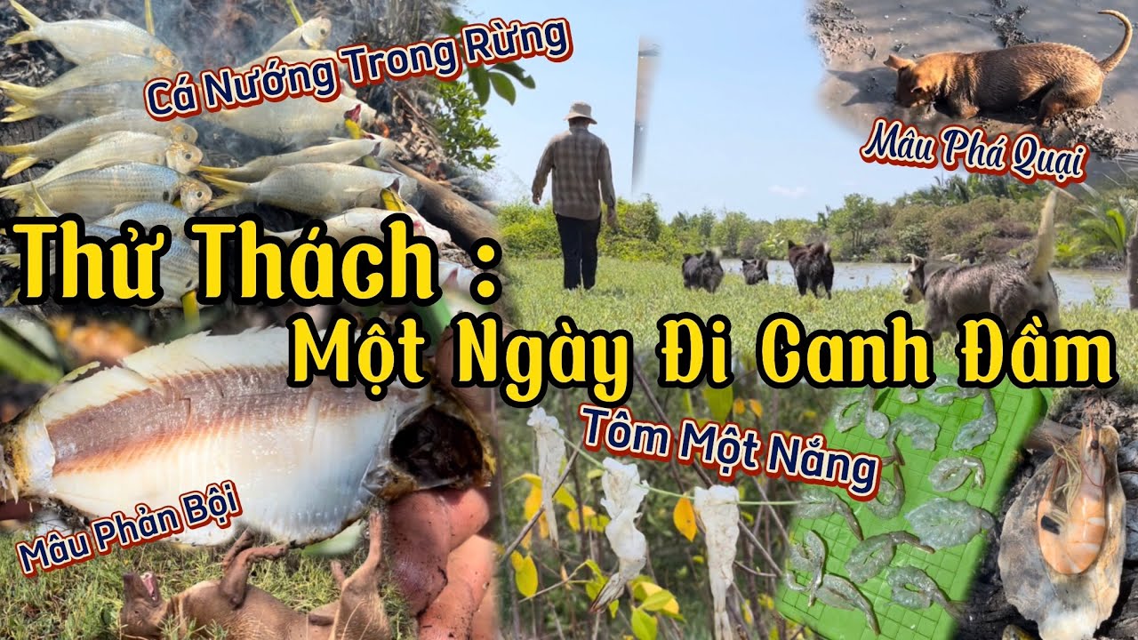 Thử Thách Một Ngày Canh Đầm Và Sinh Tồn Cùng Bầy Lính - Cá Nướng Trong Rừng Và Tôm Một Nắng