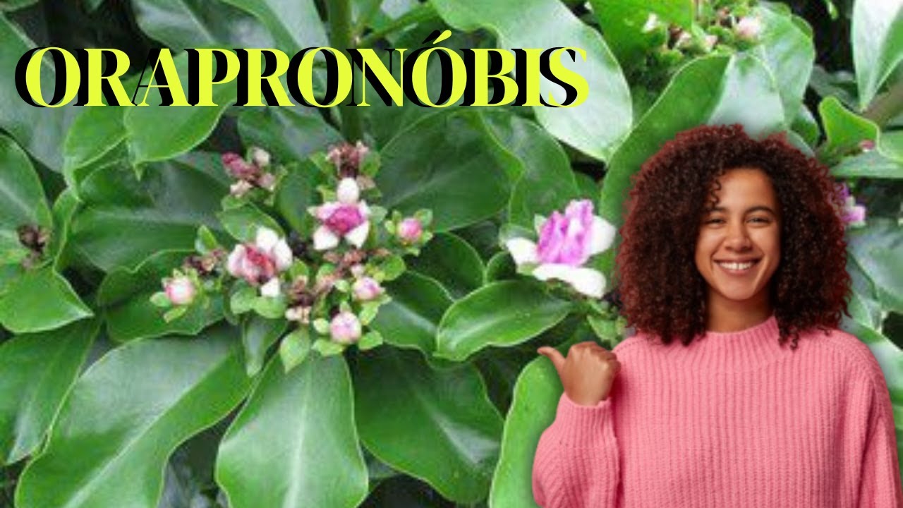 Benefícios da Orapronóbis - Para que serve