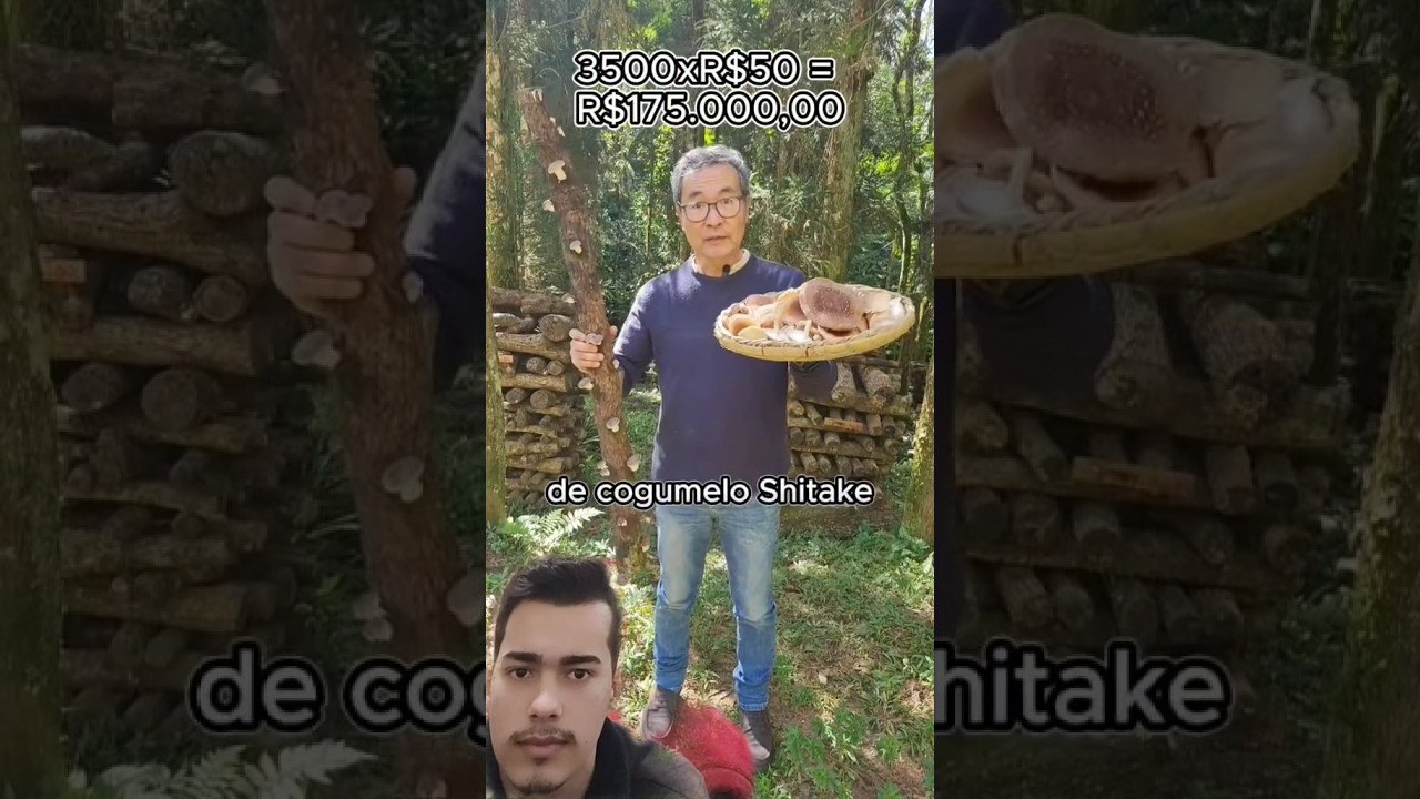 S&Iacute;TIO SUSTENTAVEL E SUPER LUCRATIVO! 🏡