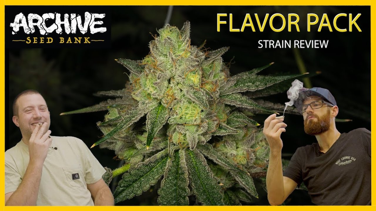 Flavor Pack Strain Review
