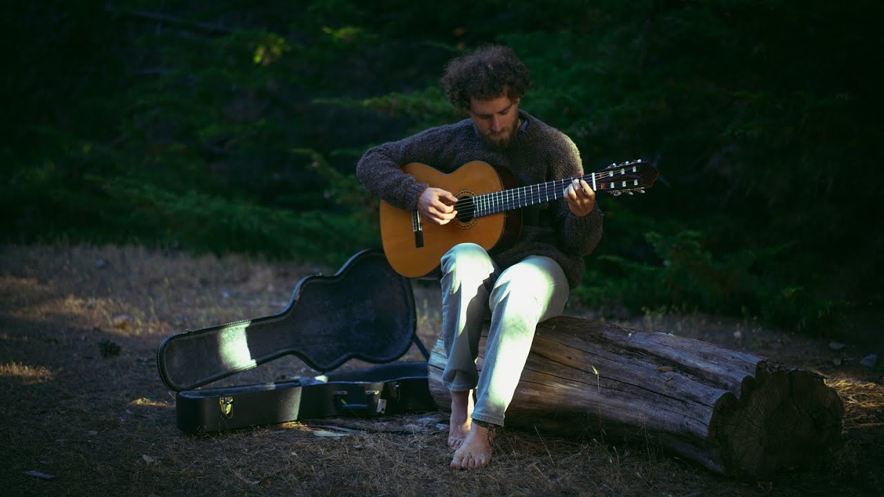 El árbol de Diego (en vivo) - Streaming