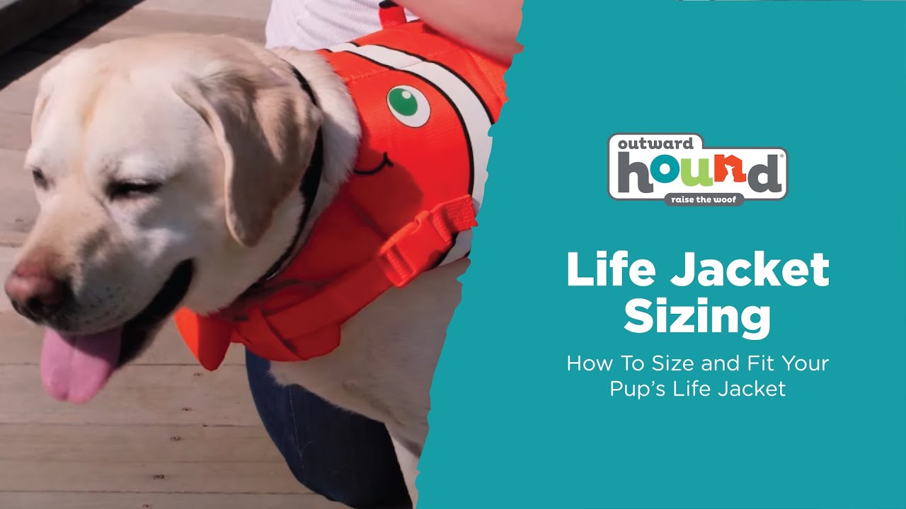 How To Size and Fit Your Outward Hound Dog Life Jacket