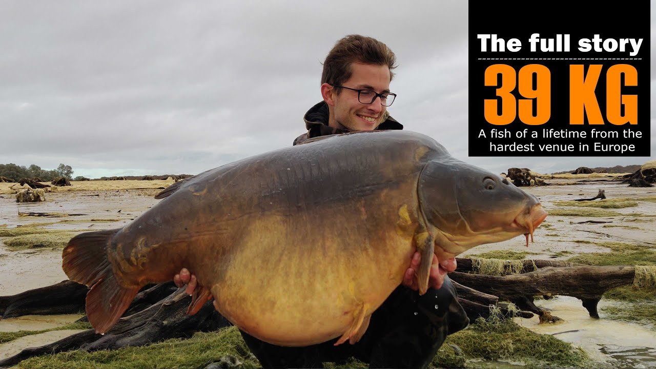39 KG A fish of a lifetime - Karpfenangeln vom Boot am härtesten Gewässer Frankreichs