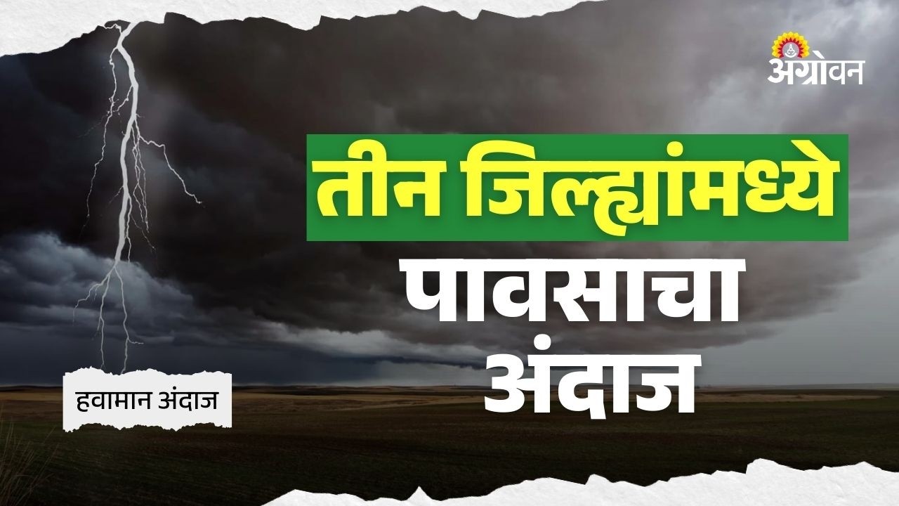 Rain Alert: राज्यात उष्ण आणि दमट हवामानाचा अंदाज | Agrowon