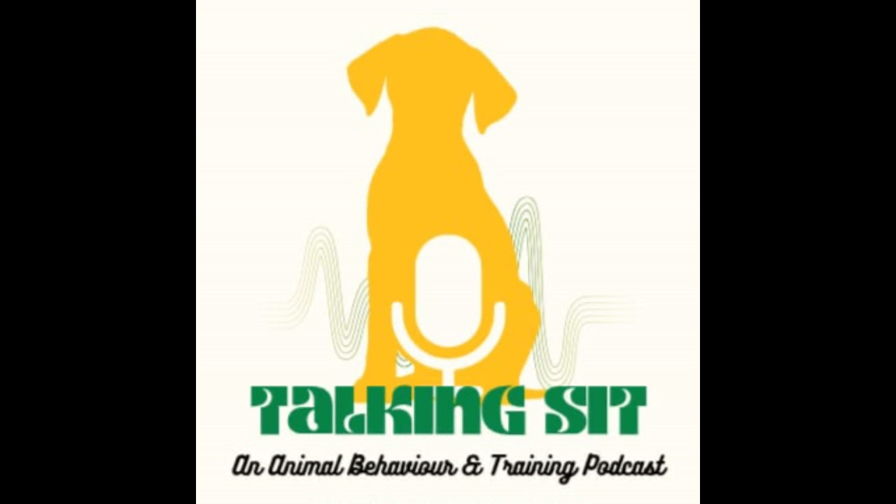 Episode 9: Inside the Collie Mind (With Rachel Rodgers)