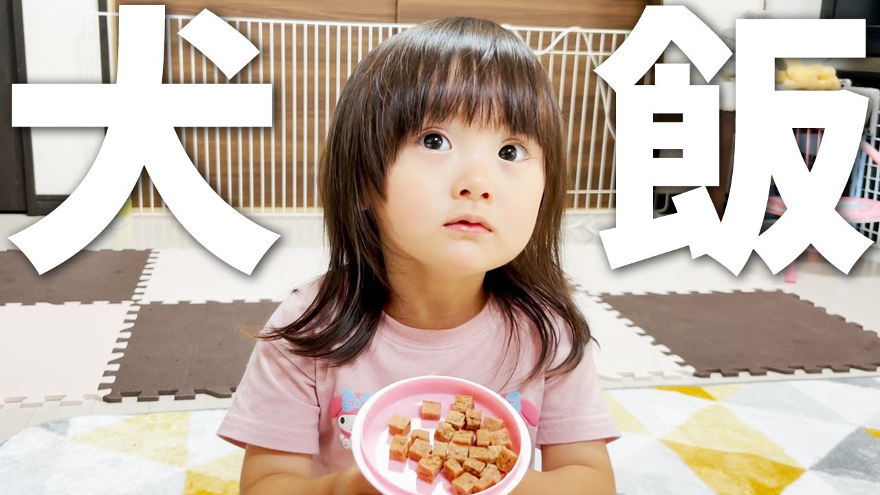 犬たちに料理を振る舞いたい3歳娘