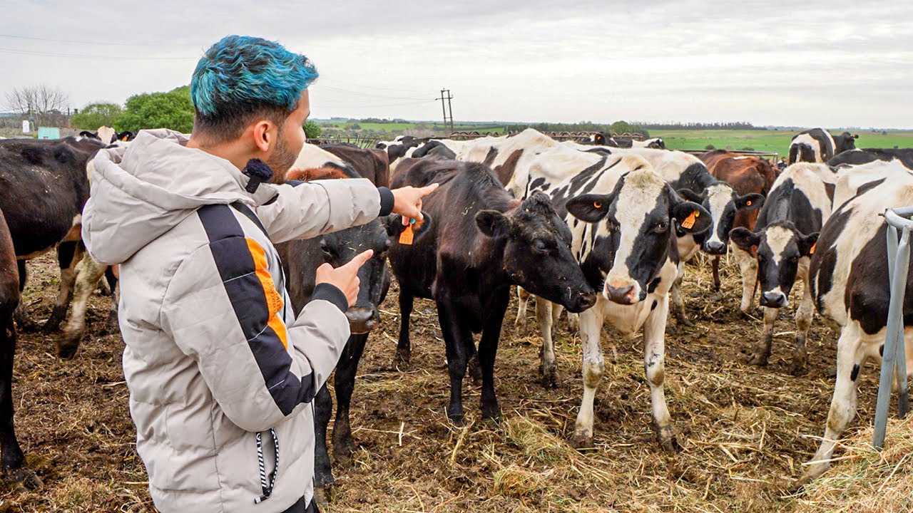 Lo que NADIE cuenta de URUGUAY: La VIDA en zonas ALEJADAS 🇺🇾