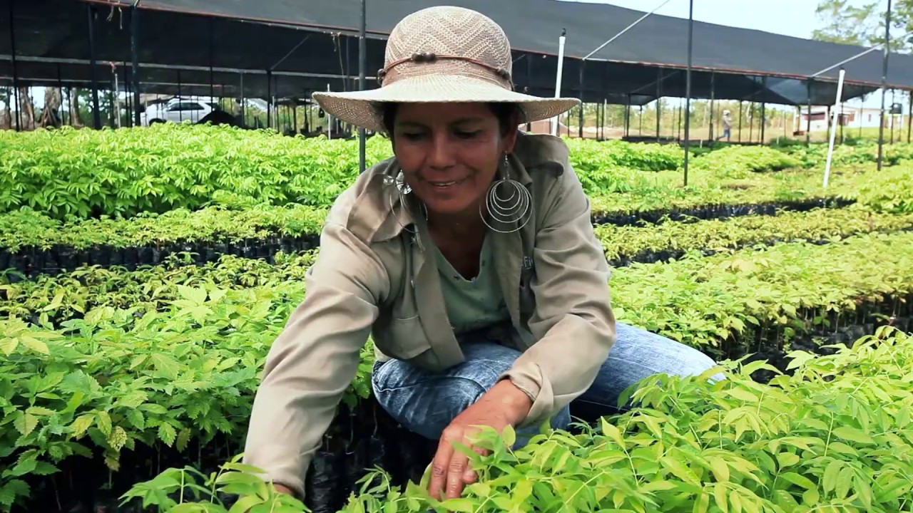 KLM Sustainable Chocolate (NL) (02'00min) (Ext)