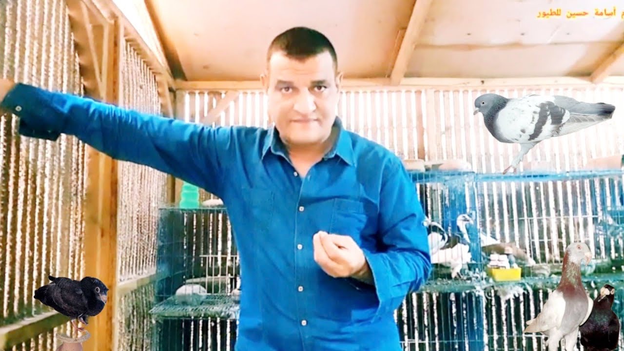 شوف علاج الورم بالغلط عند الحمام بيعمل إيه؟ ليه بتعالج غلط مادام الصح سهل؟