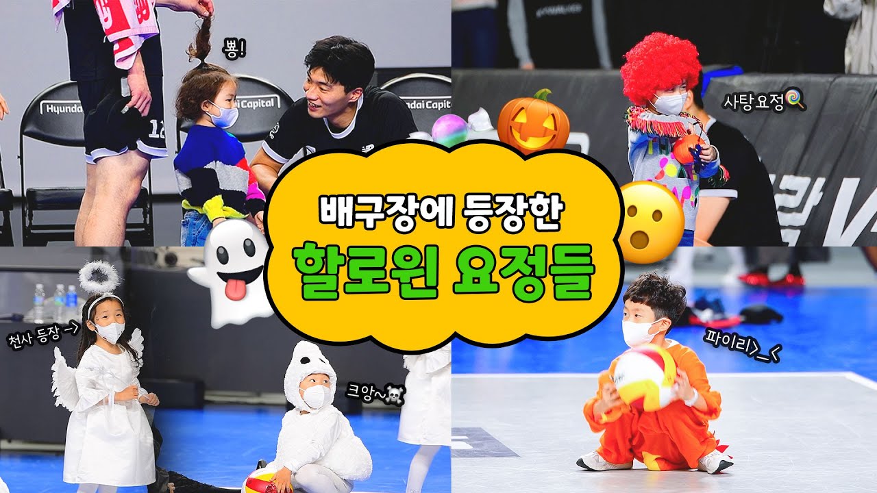 유관순 체육관에 🍭사탕🍭 나눠주는 천사 등장 🎃 할로윈 배구 코트를 장악한 아기요정들 🥹🤍 [221028 현대캐피탈 VS 대한항공]