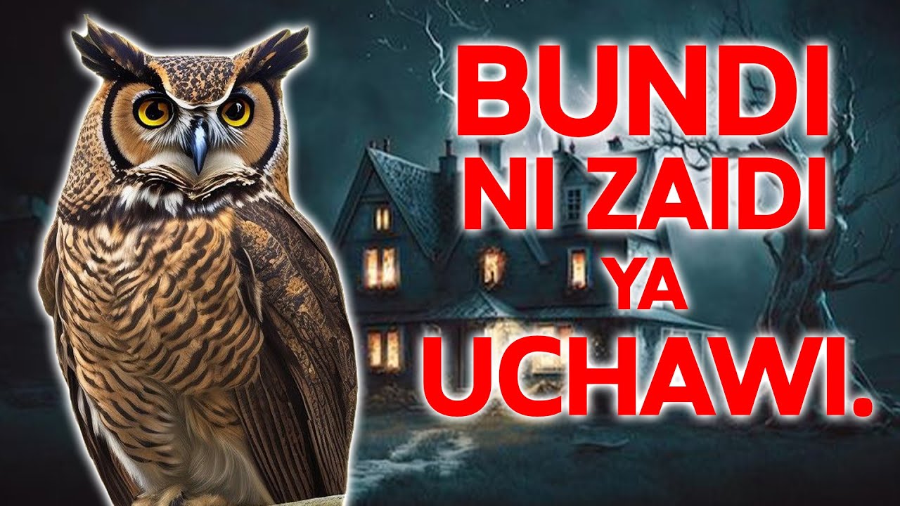Ukisikia Bundi Analia Nje Ya Nyumba Yako, Tambua Hili Linafuata.